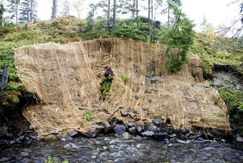 Erosjonsnettet er lagt ut over de deler av skråningen som mangler vegetasjon. vannet renner fobi i nedrekant av bildet. Nettet er festet med treplugger rett i bakken.